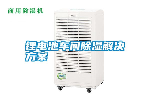 鋰電池車(chē)間除濕解決方案
