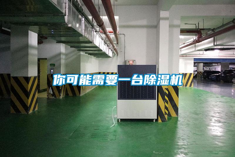 你可能需要一臺除濕機