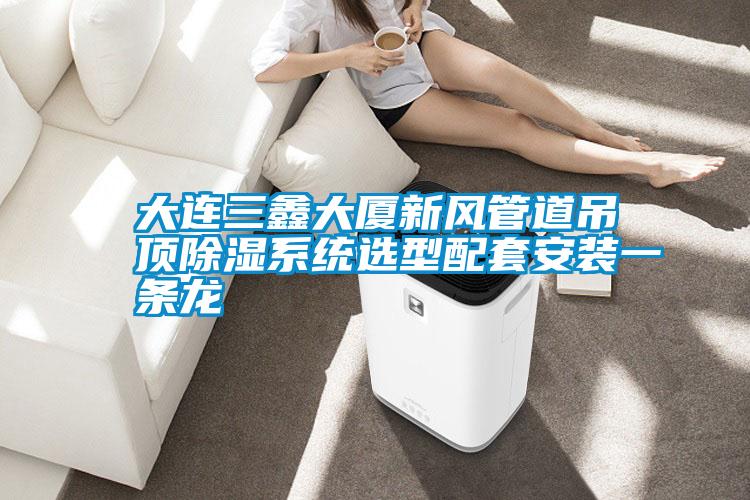大連三鑫大廈新風(fēng)管道吊頂除濕系統選型配套安裝一條龍