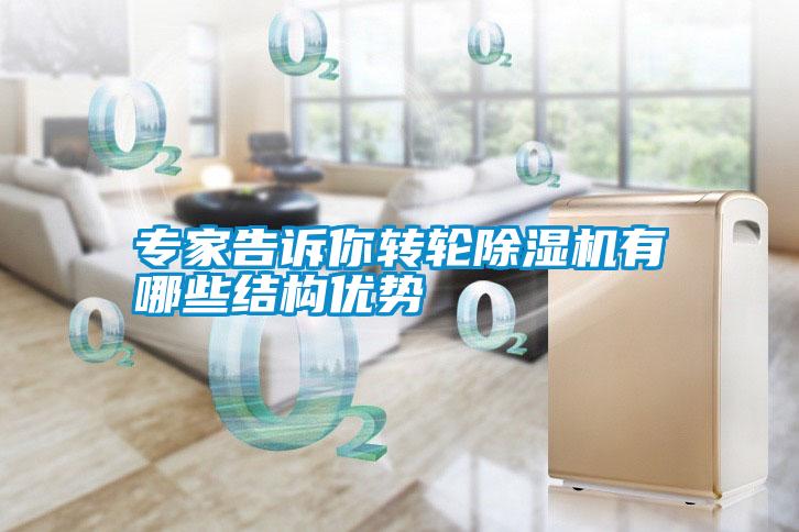 專(zhuān)家告訴你轉輪除濕機有哪些結構優(yōu)勢