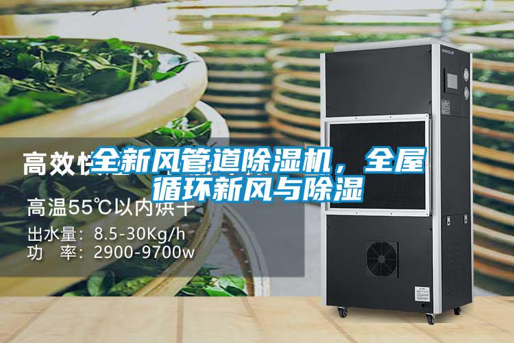 全新風(fēng)管道除濕機，全屋循環(huán)新風(fēng)與除濕