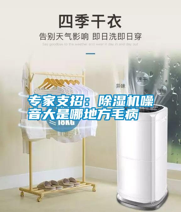 專(zhuān)家支招：除濕機噪音大是哪地方毛病