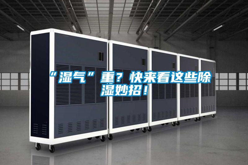 “濕氣”重？快來(lái)看這些除濕妙招！