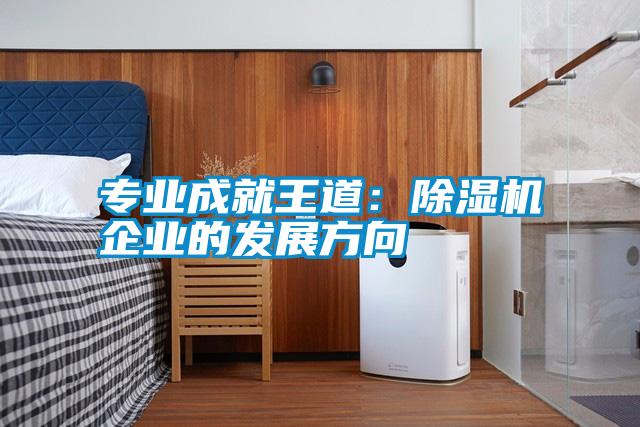 專(zhuān)業(yè)成就王道：除濕機企業(yè)的發(fā)展方向