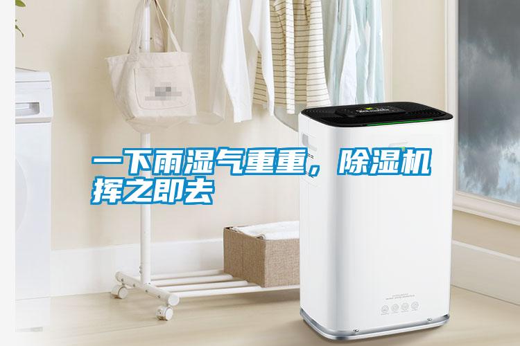 一下雨濕氣重重，除濕機揮之即去