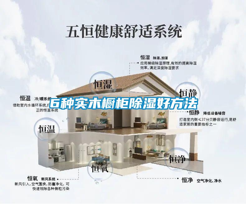 6種實(shí)木櫥柜除濕好方法