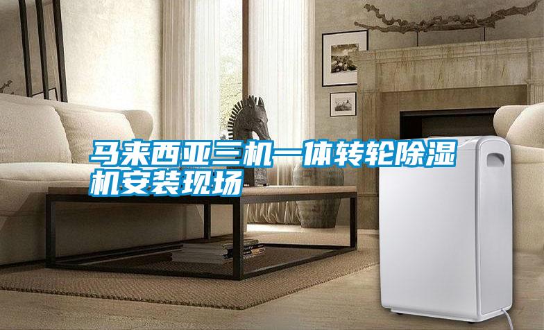 馬來(lái)西亞三機一體轉輪除濕機安裝現場(chǎng)