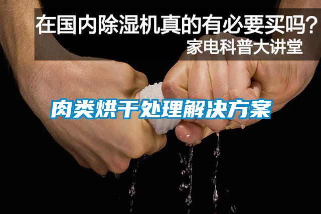 肉類(lèi)烘干處理解決方案