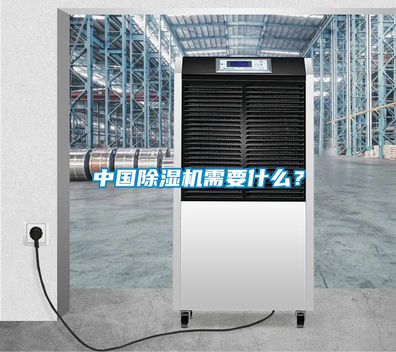 中國除濕機需要什么？