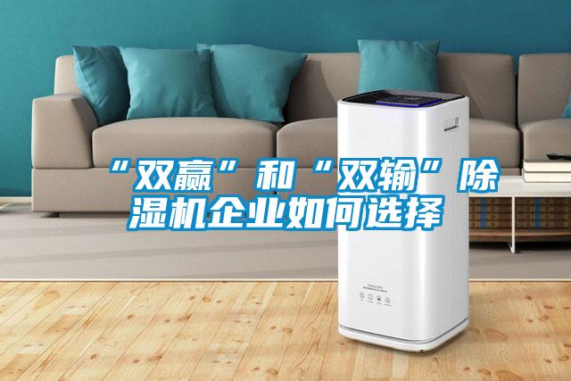 “雙贏(yíng)”和“雙輸”除濕機企業(yè)如何選擇