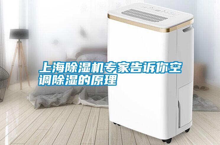 上海除濕機專(zhuān)家告訴你空調除濕的原理