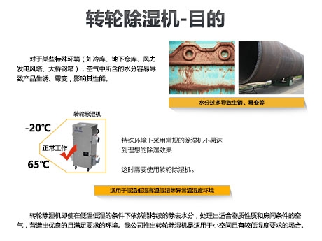 貓糧防潮秘籍，貓糧如何儲存
