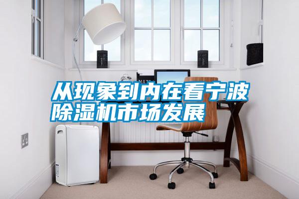 從現象到內在看寧波除濕機市場(chǎng)發(fā)展