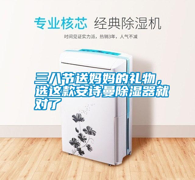 三八節送媽媽的禮物，選這款安詩(shī)曼除濕器就對了