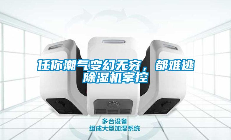 任你潮氣變幻無(wú)窮，都難逃除濕機掌控