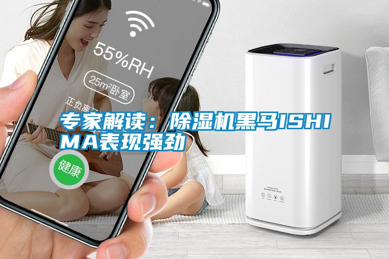 專(zhuān)家解讀：除濕機黑馬ISHIMA表現強勁