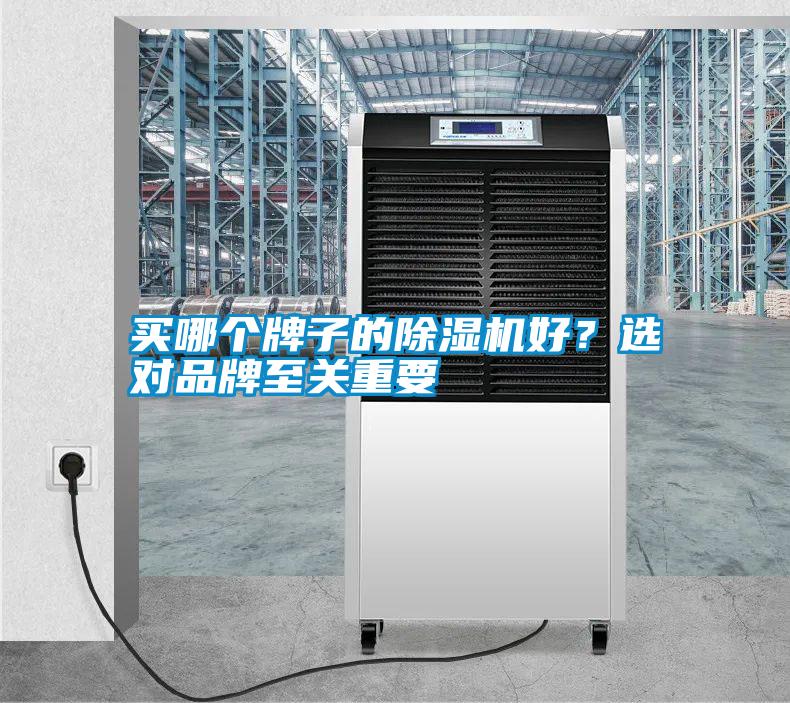 買(mǎi)哪個(gè)牌子的除濕機好？選對品牌至關(guān)重要