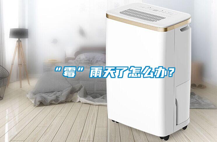 “霉”雨天了怎么辦？