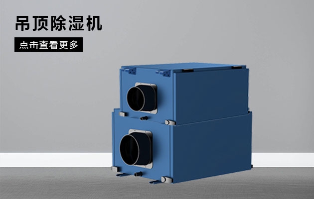 雙十一除濕機，要買(mǎi)哪一款