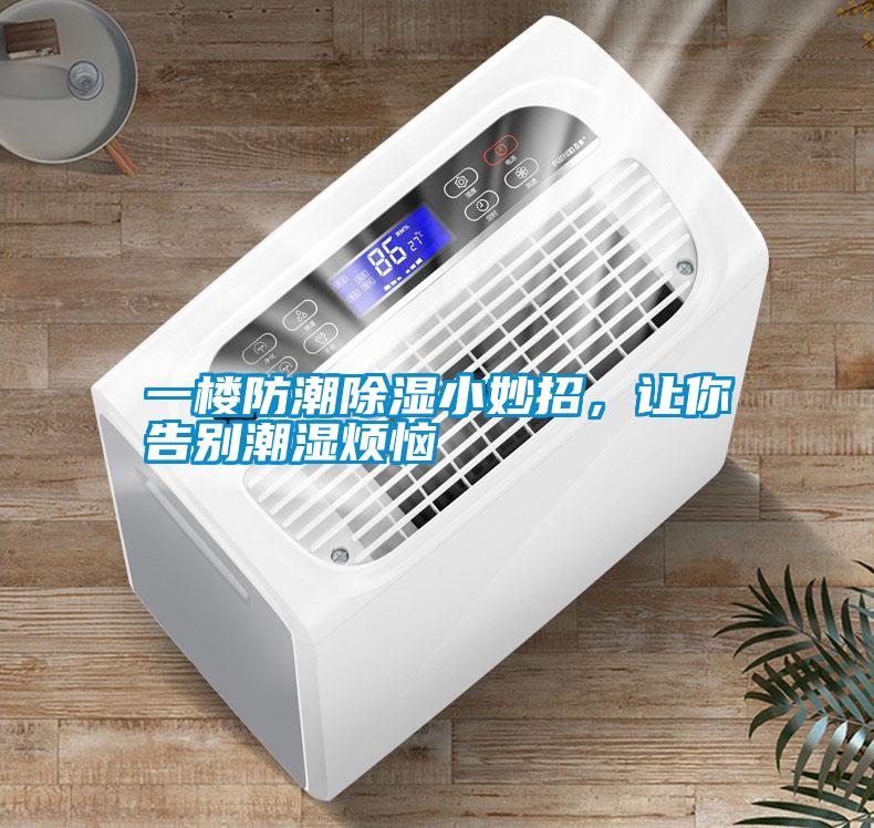 一樓防潮除濕小妙招，讓你告別潮濕煩惱