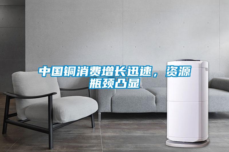 中國銅消費增長(cháng)迅速，資源瓶頸凸顯