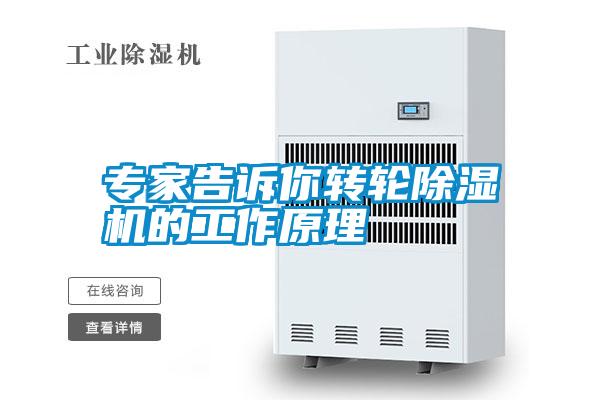 專(zhuān)家告訴你轉輪除濕機的工作原理