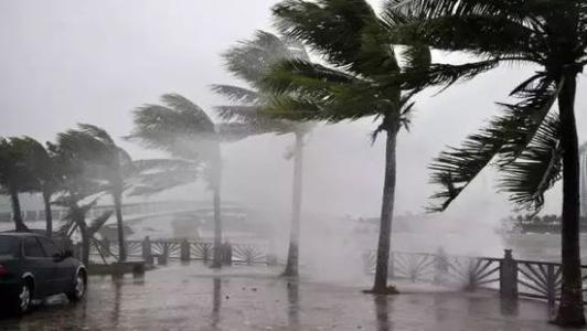 8月臺風(fēng)雨即將來(lái)，除濕機還得用起來(lái)