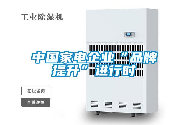 中國家電企業(yè)“品牌提升”進(jìn)行時(shí)