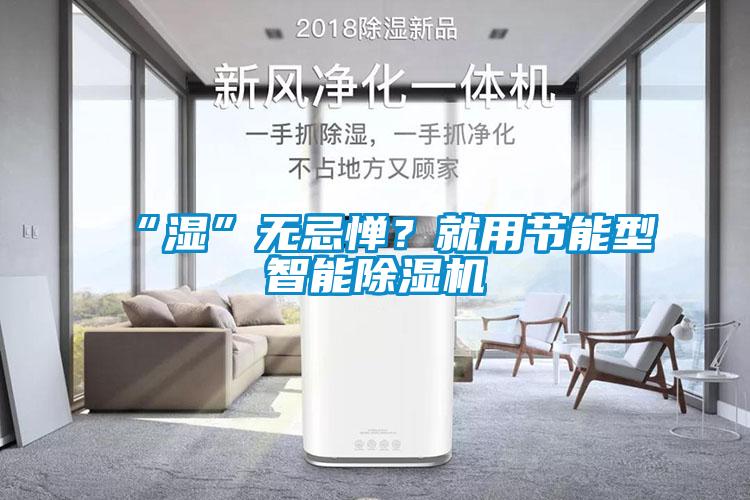 “濕”無(wú)忌憚？就用節能型智能除濕機