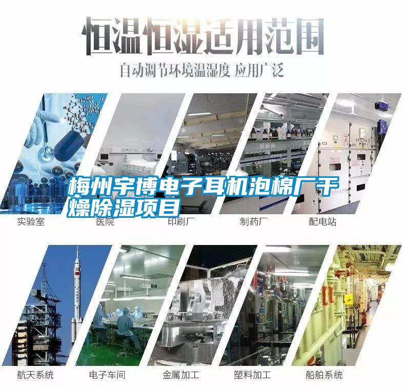 梅州宇博電子耳機泡棉廠(chǎng)干燥除濕項目