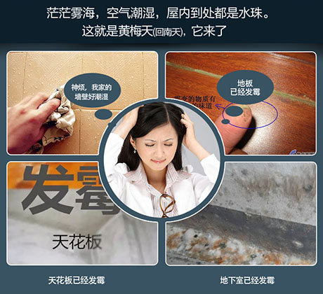 家庭別墅的地下室、衛生間、儲物室等該如何除濕？
