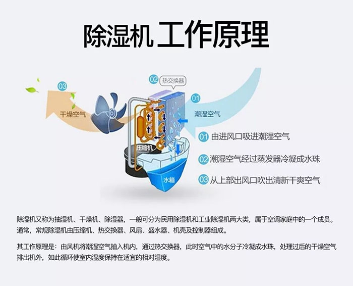 對抗梅雨天，絕不認輸！