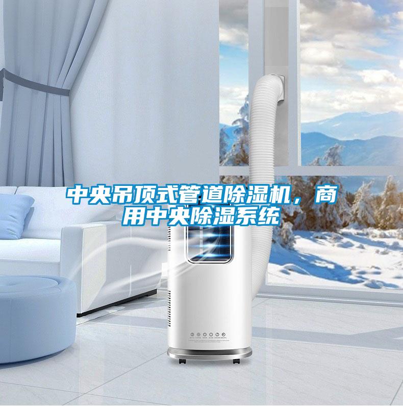 中央吊頂式管道除濕機，商用中央除濕系統