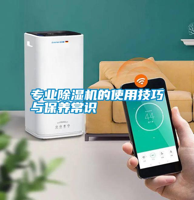 專(zhuān)業(yè)除濕機的使用技巧與保養常識