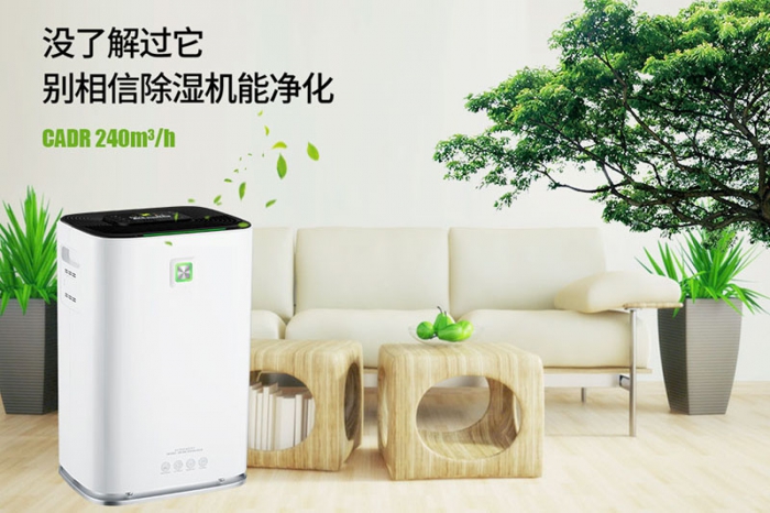 一到回南天狗狗就感冒+皮膚病，怎么辦？