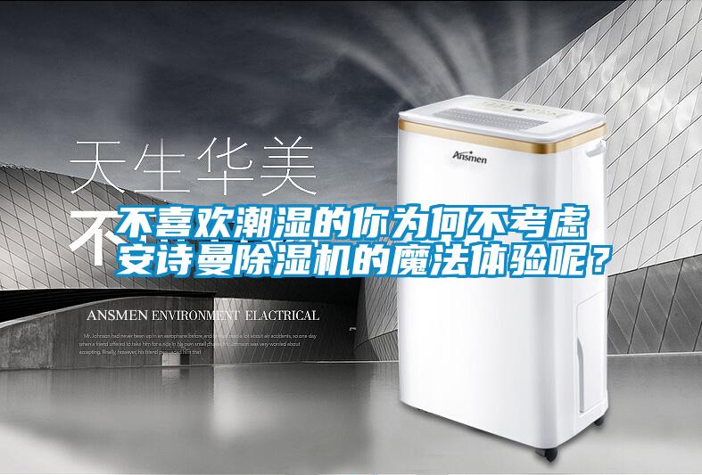 不喜歡潮濕的你為何不考慮安詩(shī)曼除濕機的魔法體驗呢？