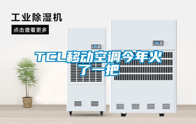 TCL移動(dòng)空調今年火了一把