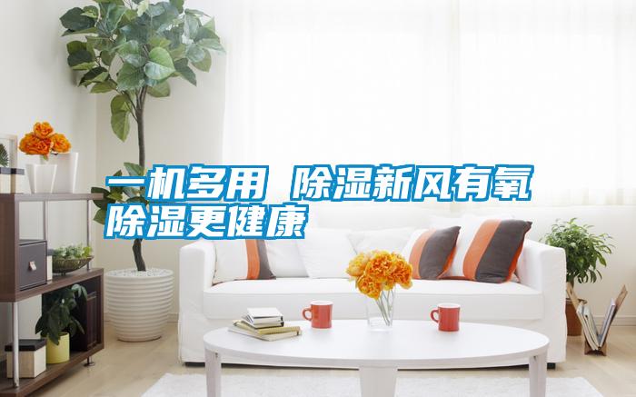 一機多用 除濕新風(fēng)有氧除濕更健康