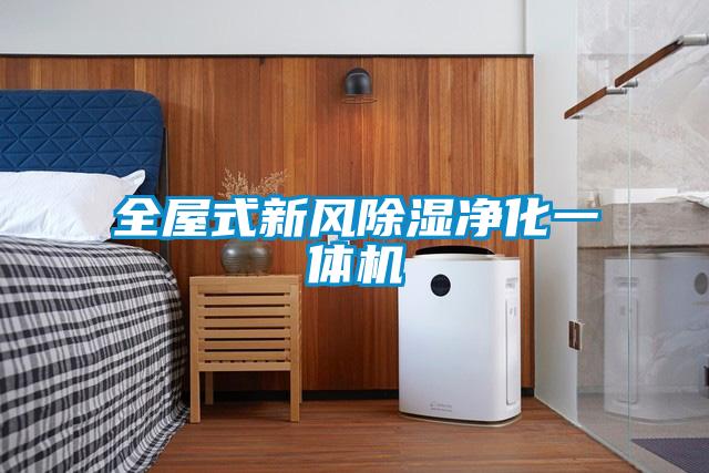 全屋式新風(fēng)除濕凈化一體機