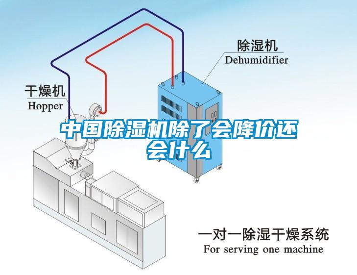 中國除濕機除了會(huì )降價(jià)還會(huì )什么