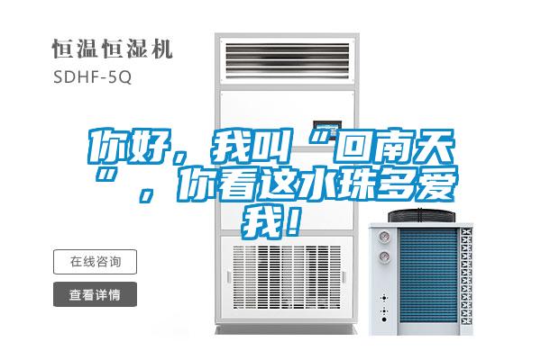 你好，我叫“回南天”，你看這水珠多愛(ài)我！