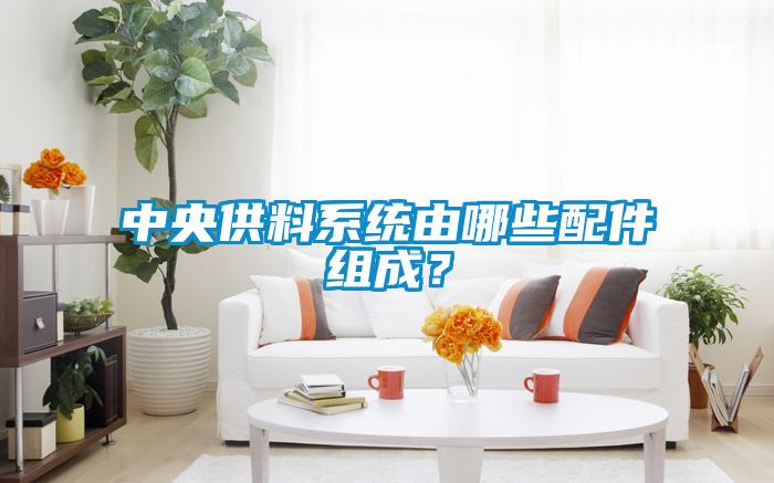 中央供料系統由哪些配件組成？