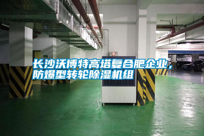 長(cháng)沙沃博特高塔復合肥企業(yè)，防爆型轉輪除濕機組