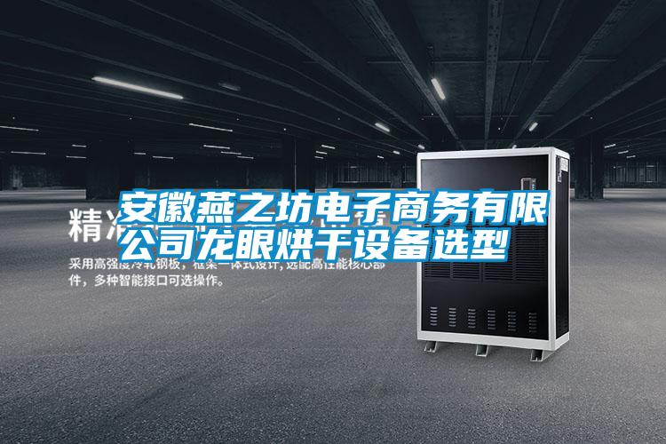 安徽燕之坊電子商務(wù)有限公司龍眼烘干設備選型