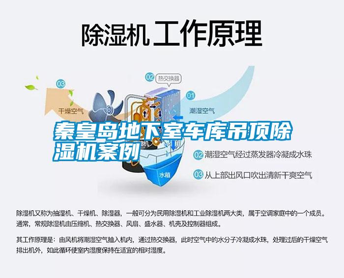 秦皇島地下室車(chē)庫吊頂除濕機案例
