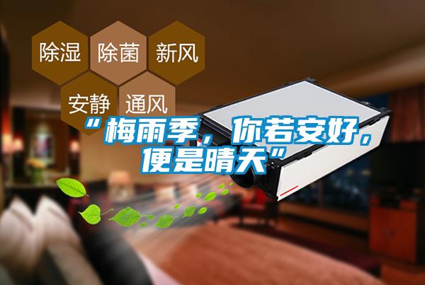 “梅雨季，你若安好，便是晴天”