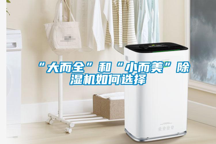 “大而全”和“小而美”除濕機如何選擇