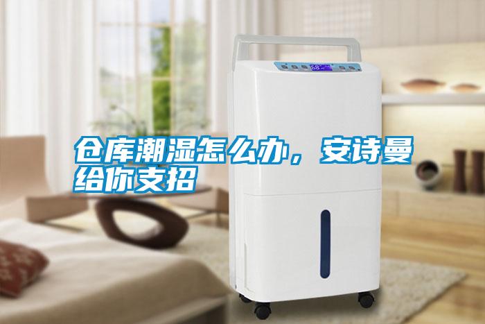 倉庫潮濕怎么辦，安詩(shī)曼給你支招