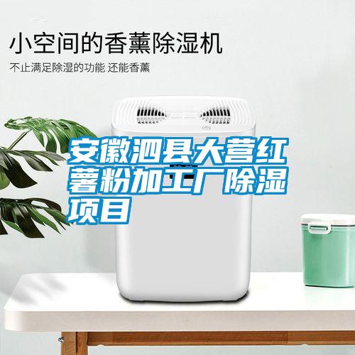 安徽泗縣大營(yíng)紅薯粉加工廠(chǎng)除濕項目