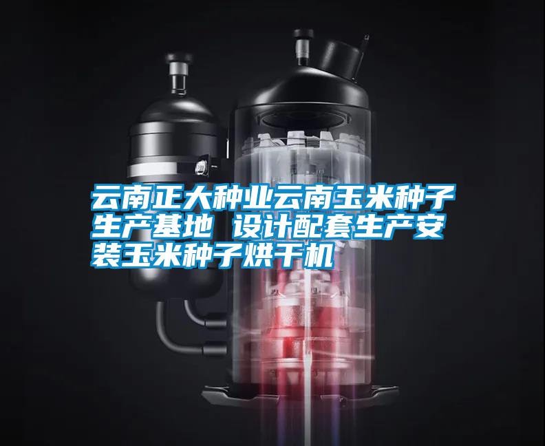 云南正大種業(yè)云南玉米種子生產(chǎn)基地 設計配套生產(chǎn)安裝玉米種子烘干機